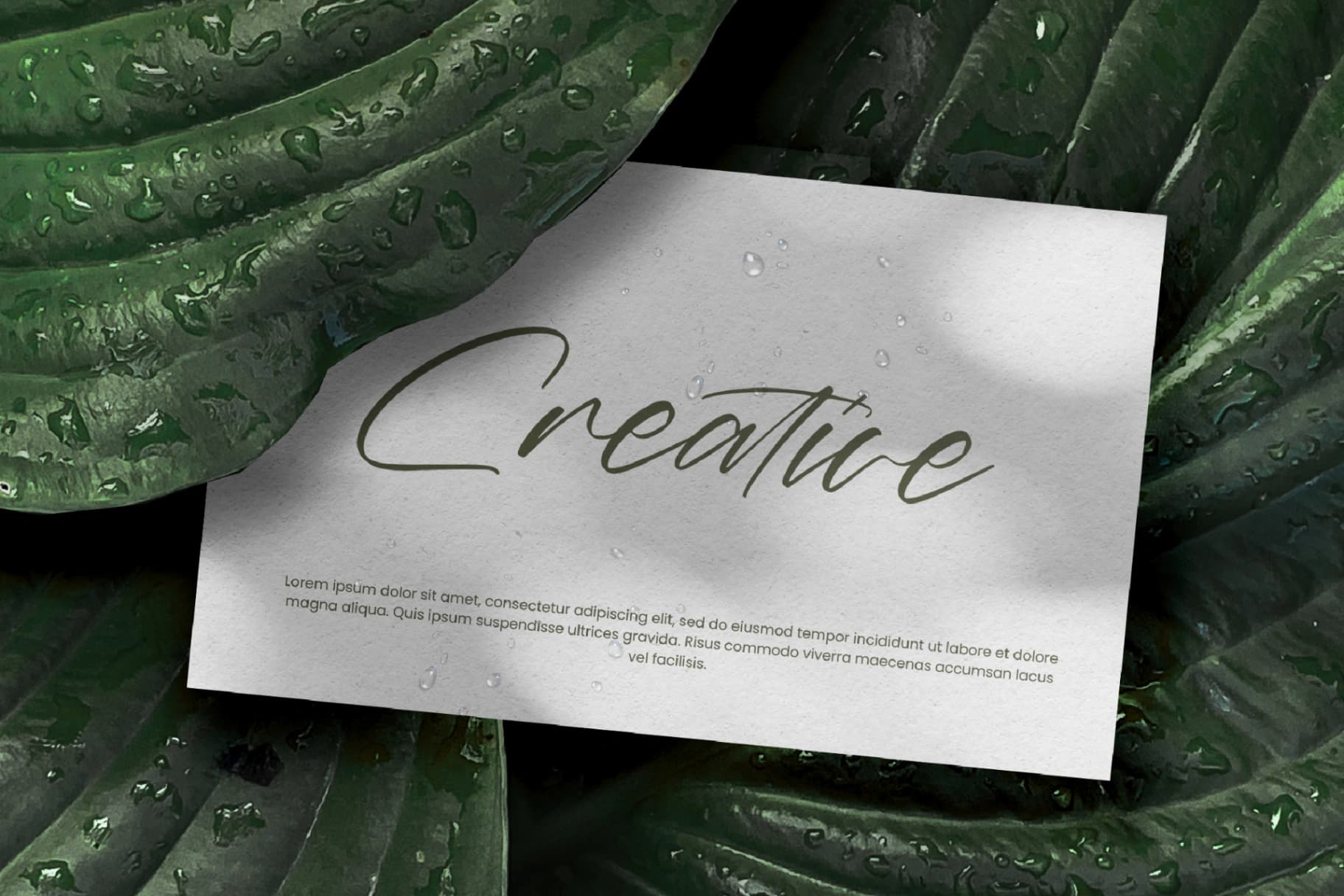 Preview 3 for Marie Glachith – Beautiful Script Font