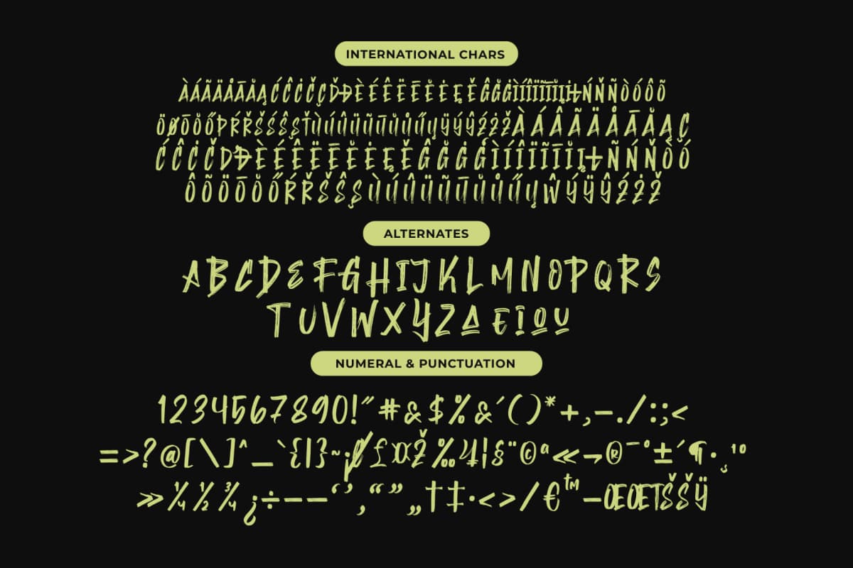 Preview 13 for Montha Stroner – Display Brush Font