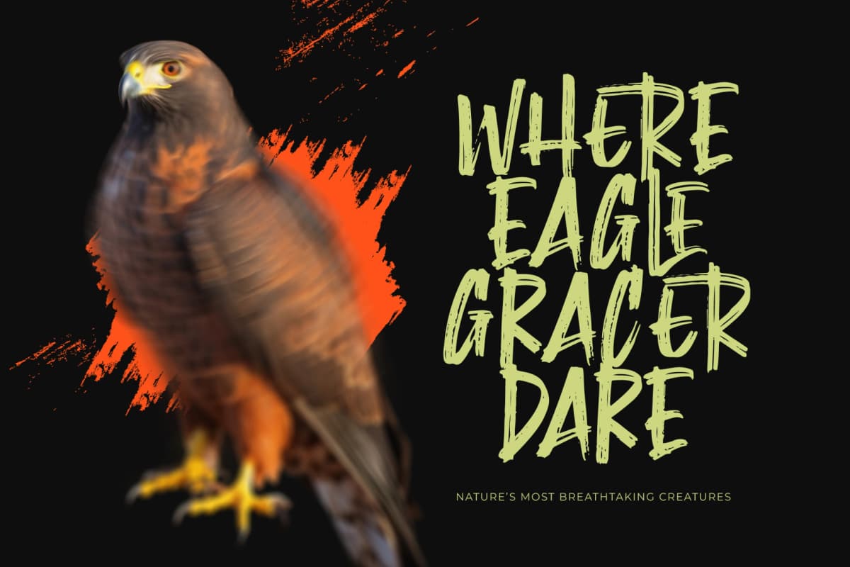 Preview 5 for Montha Stroner – Display Brush Font