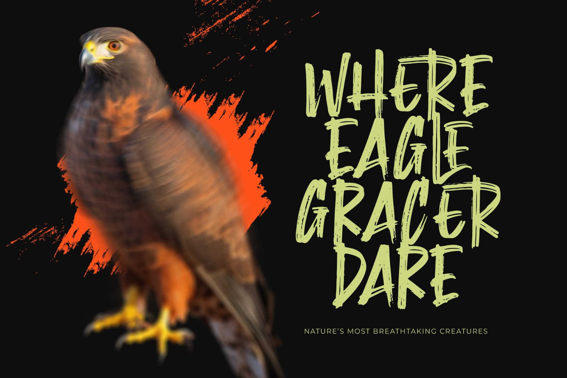 Preview 5 for Montha Stroner – Display Brush Font