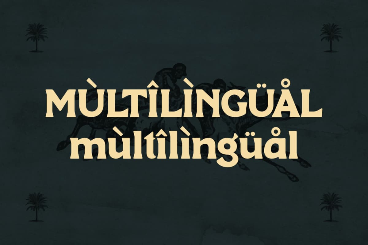 Manbort - Vintage Serif Typeface font preview 10