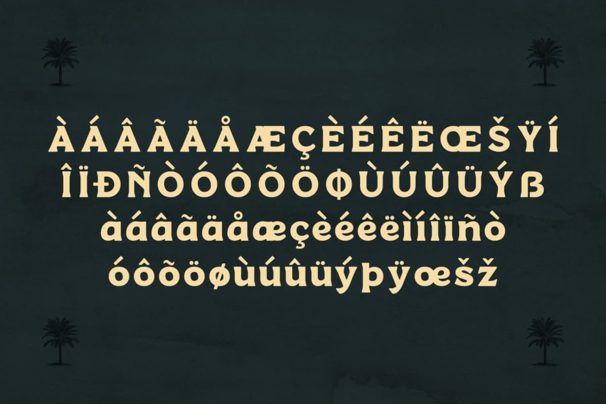 Manbort - Vintage Serif Typeface font preview 14