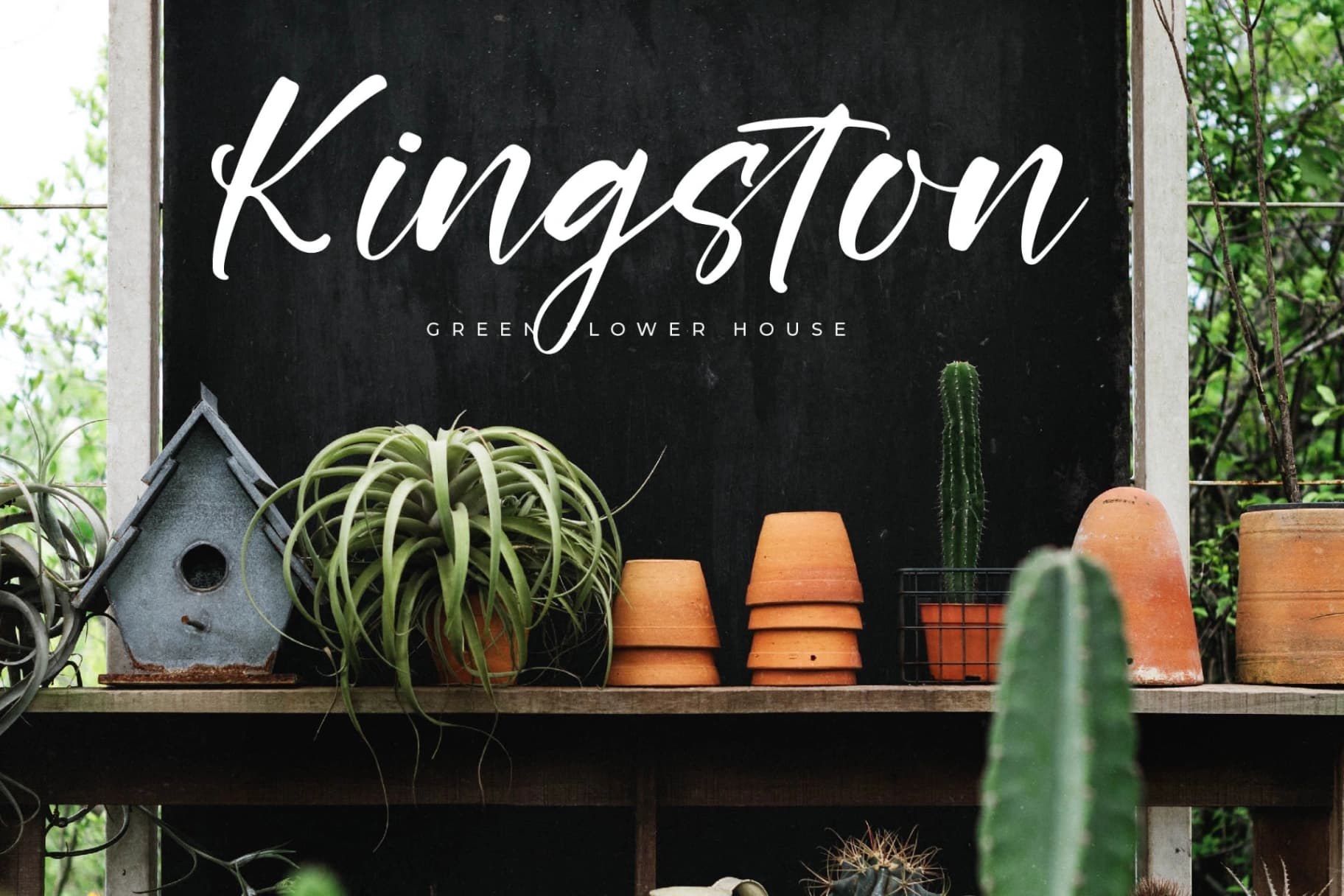 Preview 4 for Rustling Kingdom – Modern Script Font