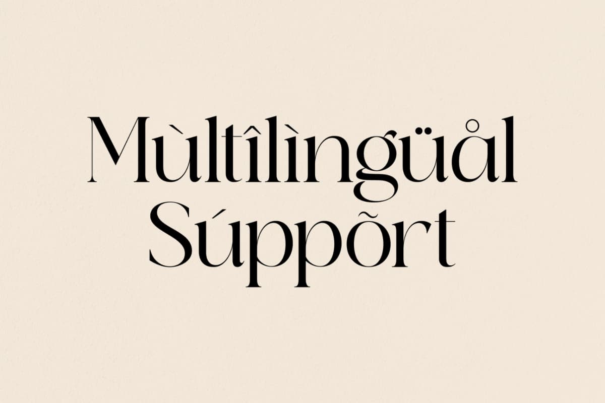 Qeilab - Modern Serif Font font preview 11