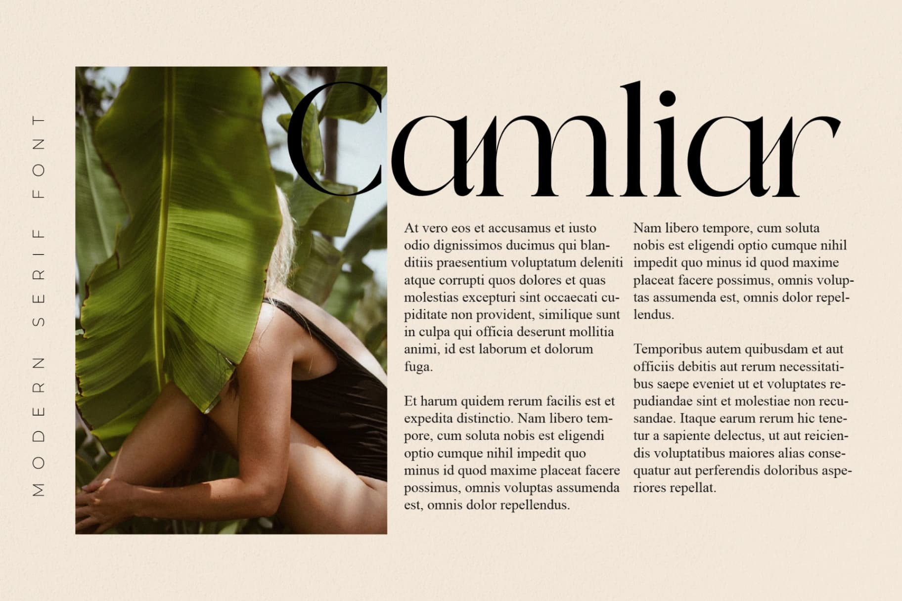 Preview 6 for Qeilab - Modern Serif Font