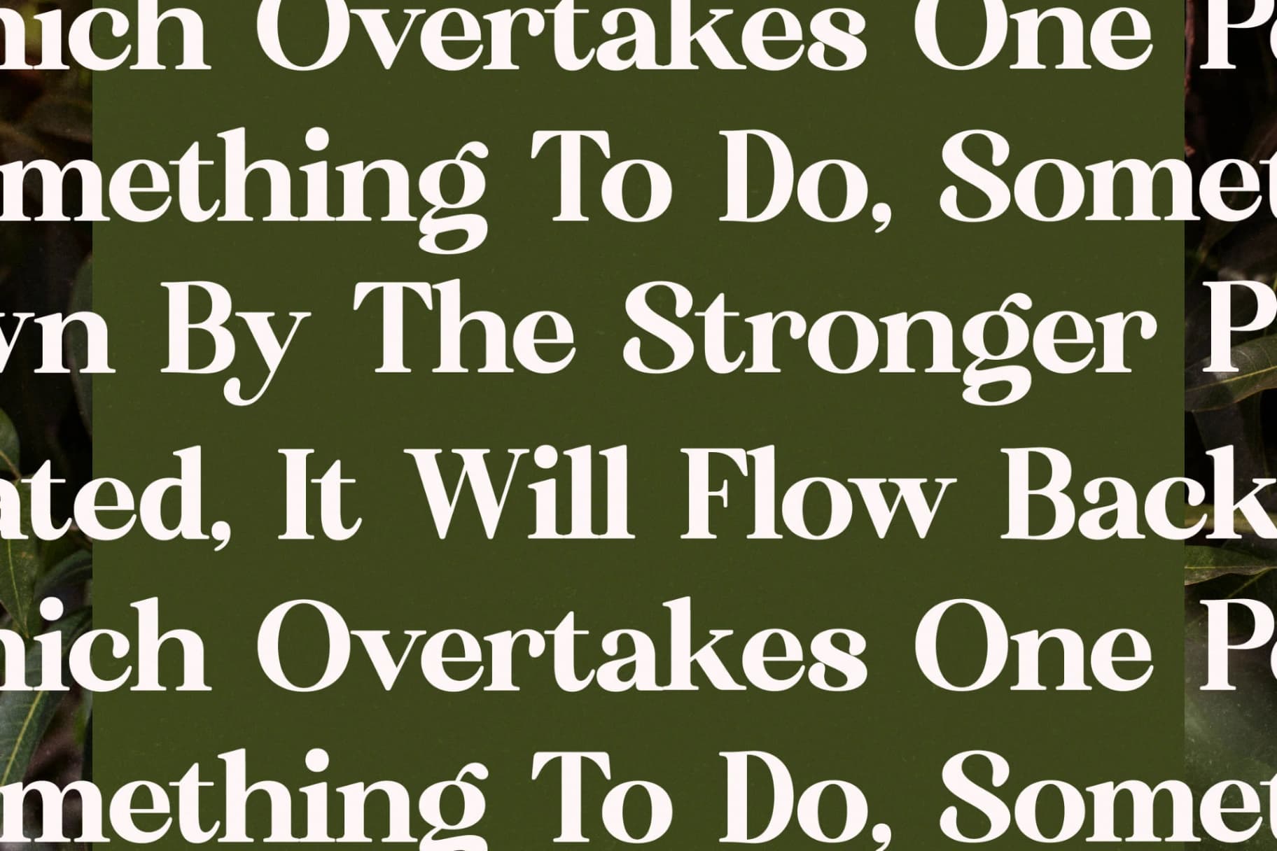 Preview 9 for Florista Mango – Modern Vintage Serif