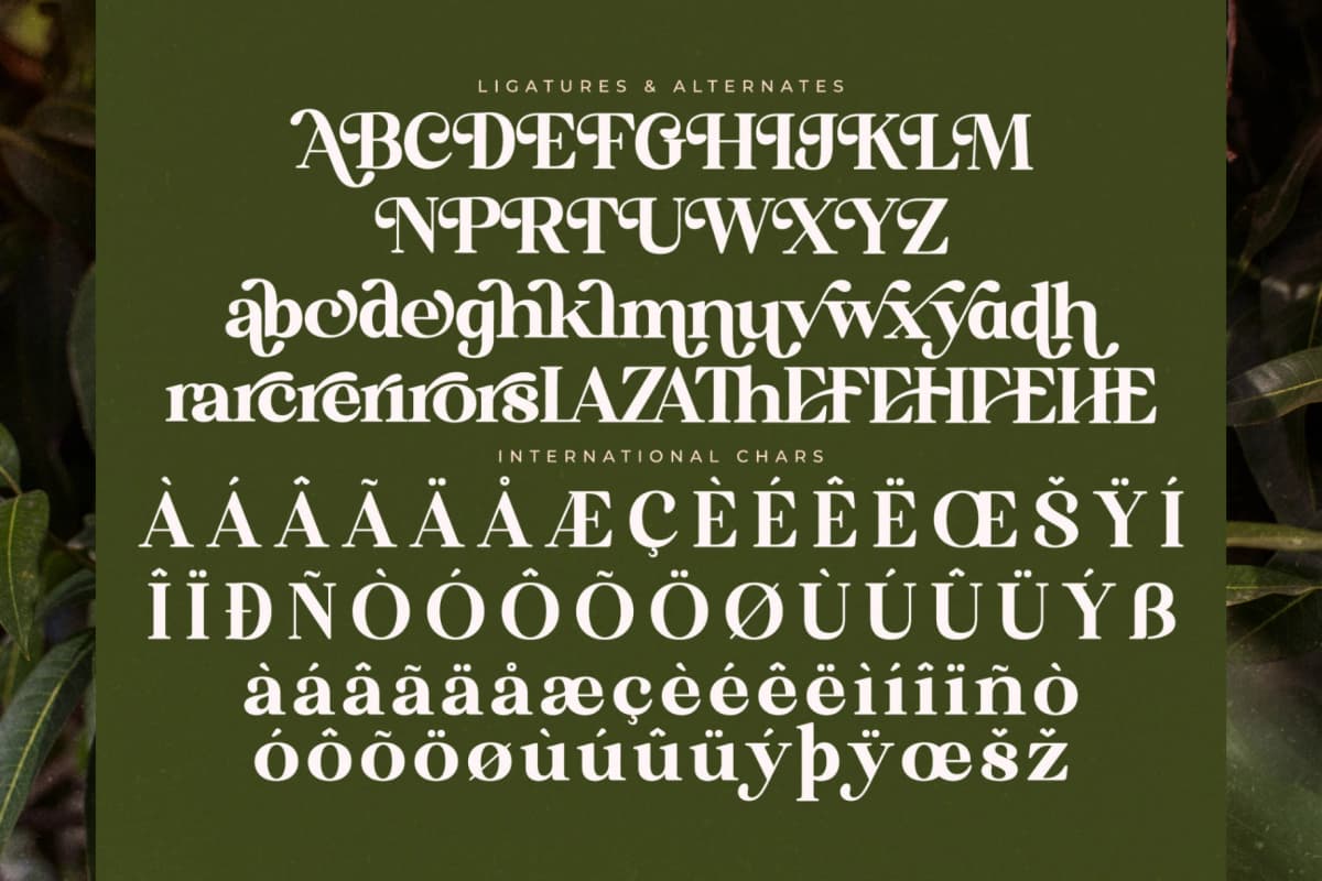 Preview 14 for Florista Mango – Modern Vintage Serif