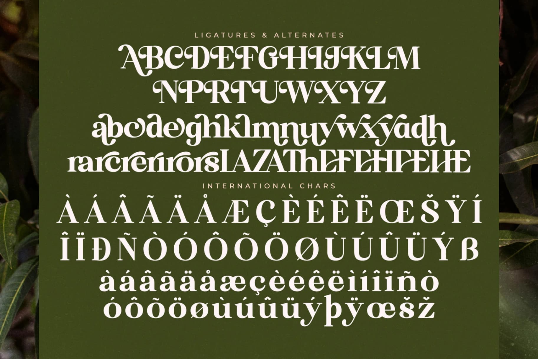 Preview 14 for Florista Mango – Modern Vintage Serif