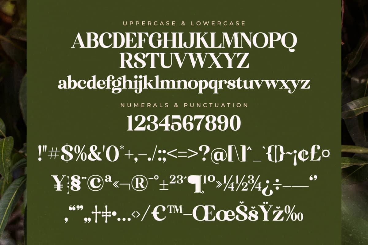 Preview 13 for Florista Mango – Modern Vintage Serif
