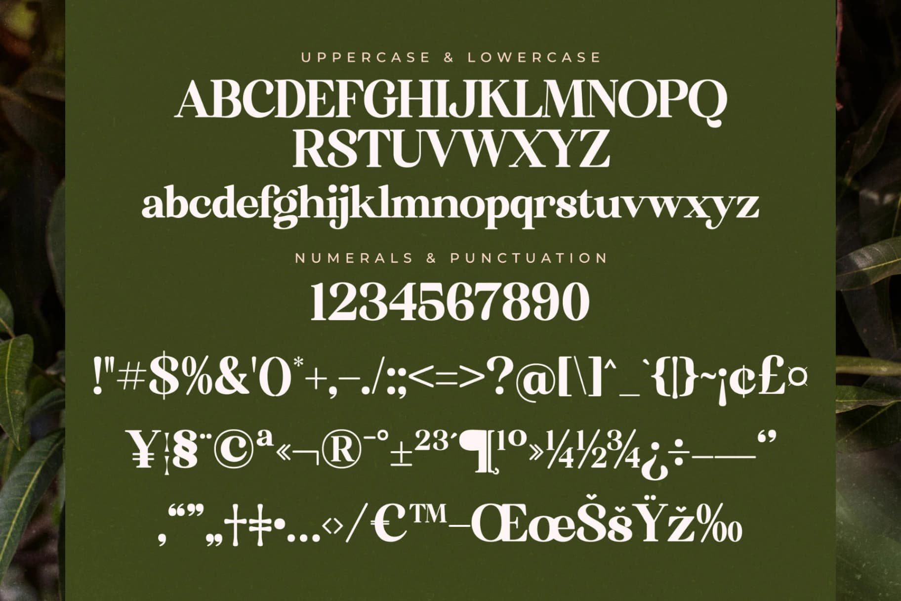 Preview 13 for Florista Mango – Modern Vintage Serif