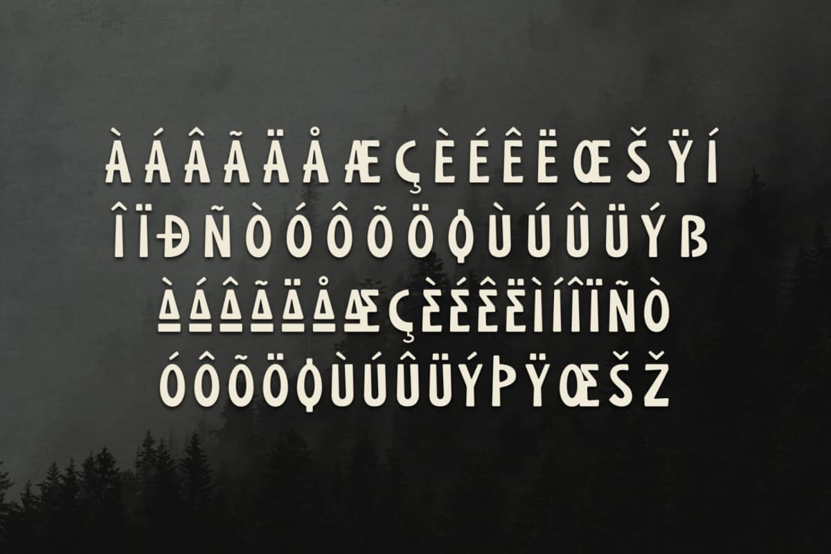 Preview 14 for Rock Wastro - Blod Display Typeface