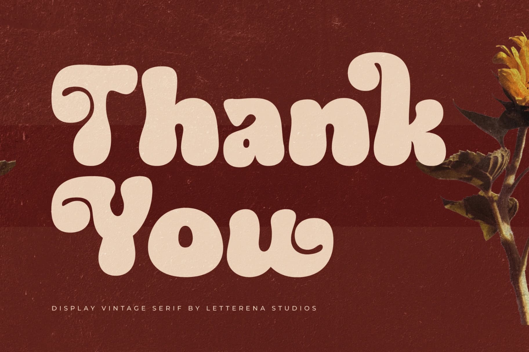 Preview 15 for Histea Ballon - Display Vintage Serif