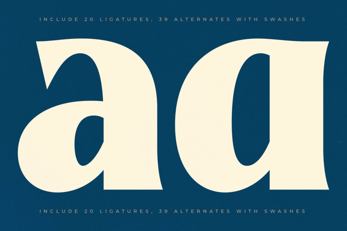 Preview 3 for Readom Builder - Vintage Display Serif