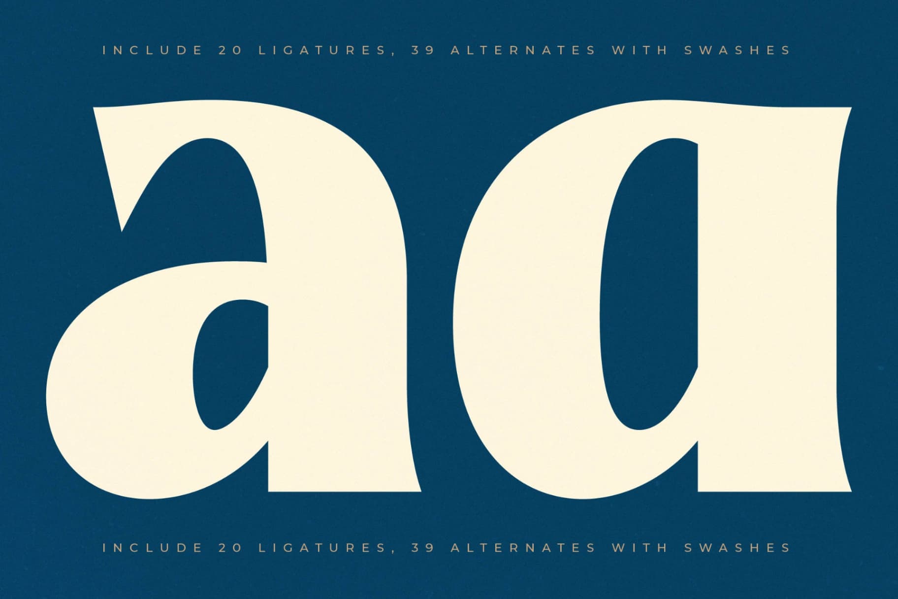 Preview 3 for Readom Builder - Vintage Display Serif
