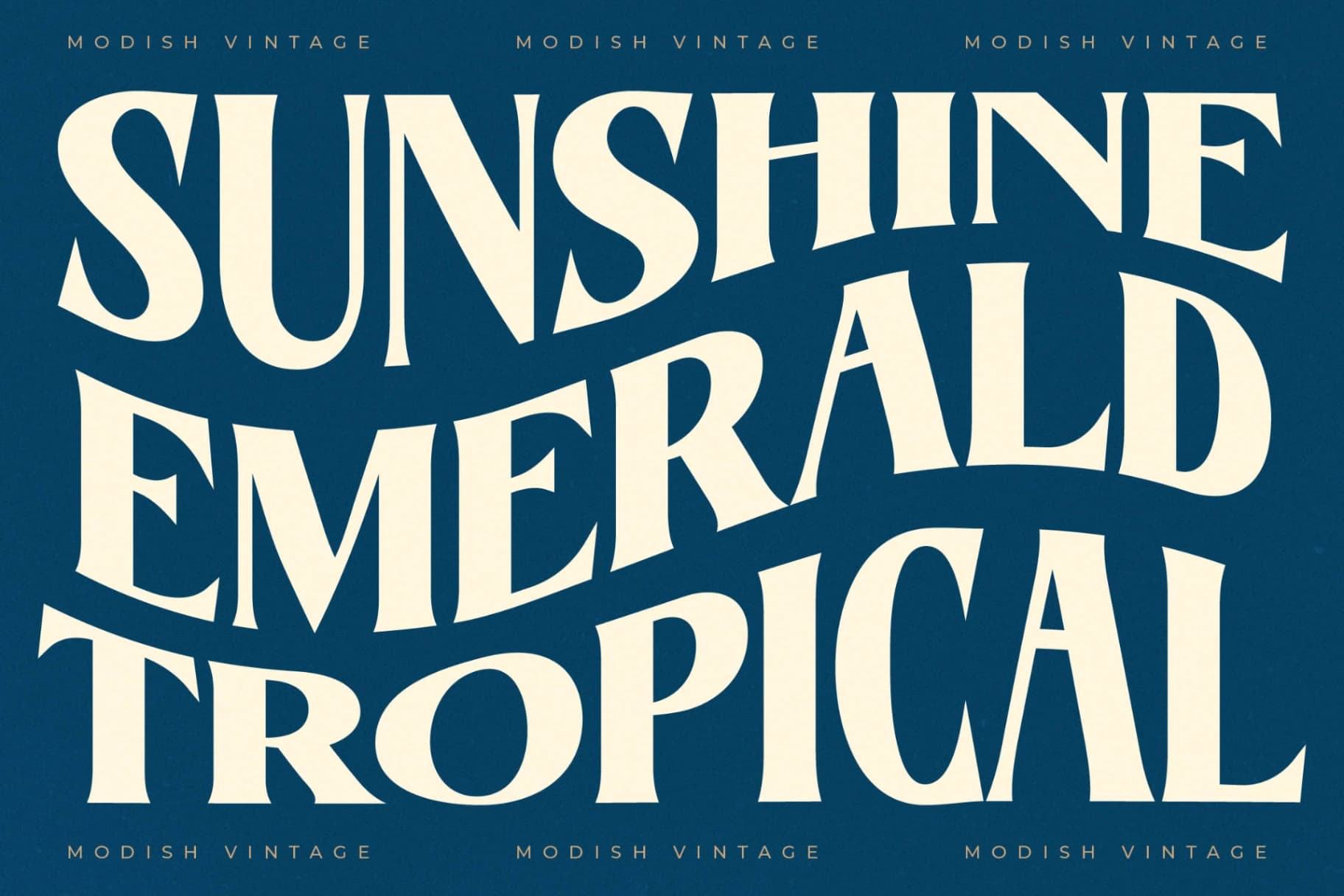 Preview 9 for Readom Builder - Vintage Display Serif