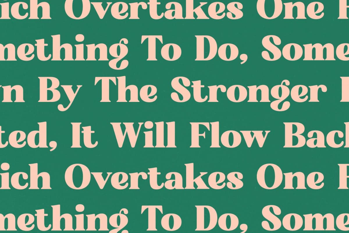 Preview 9 for Bright Sunlist - Modern Vintage Serif