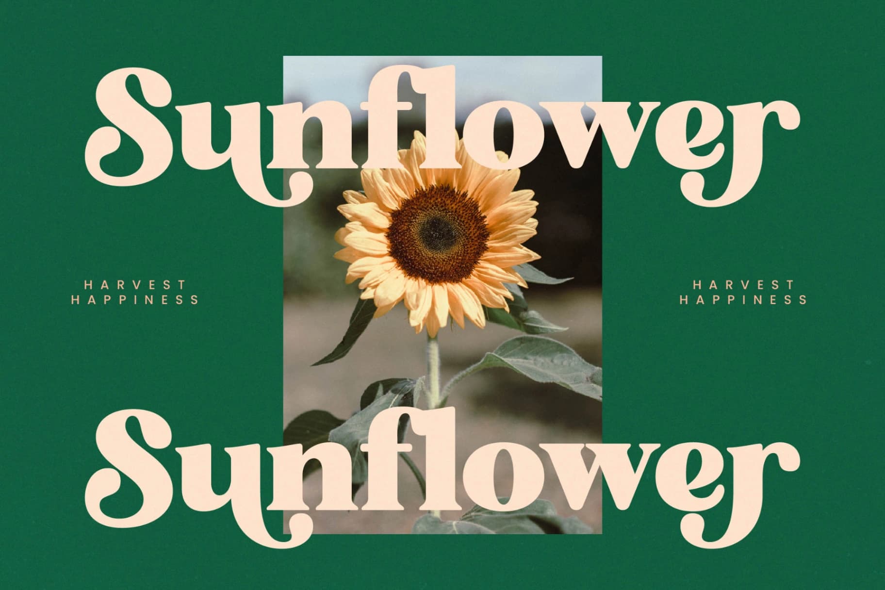Preview 2 for Bright Sunlist - Modern Vintage Serif
