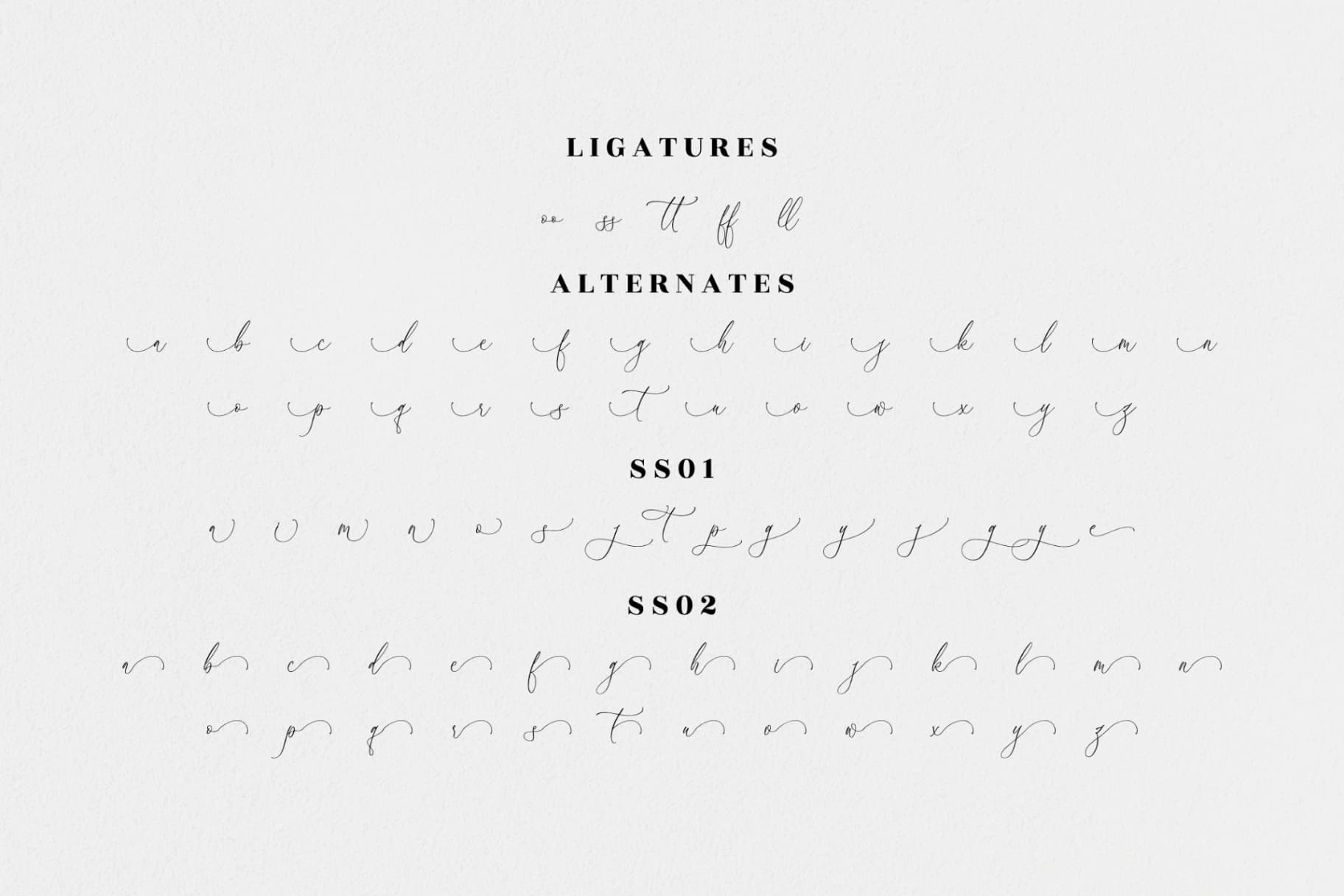 Preview 13 for Athena Modern - Luxury Script Font