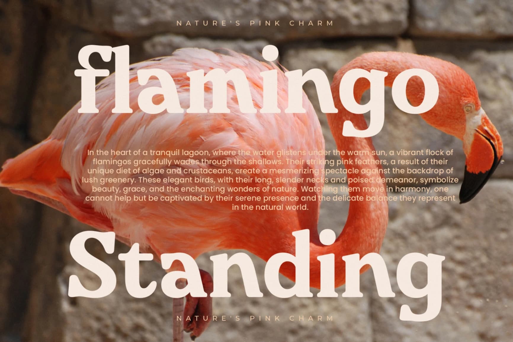 Preview 2 for Bricks Antique - Modern Vintage Serif