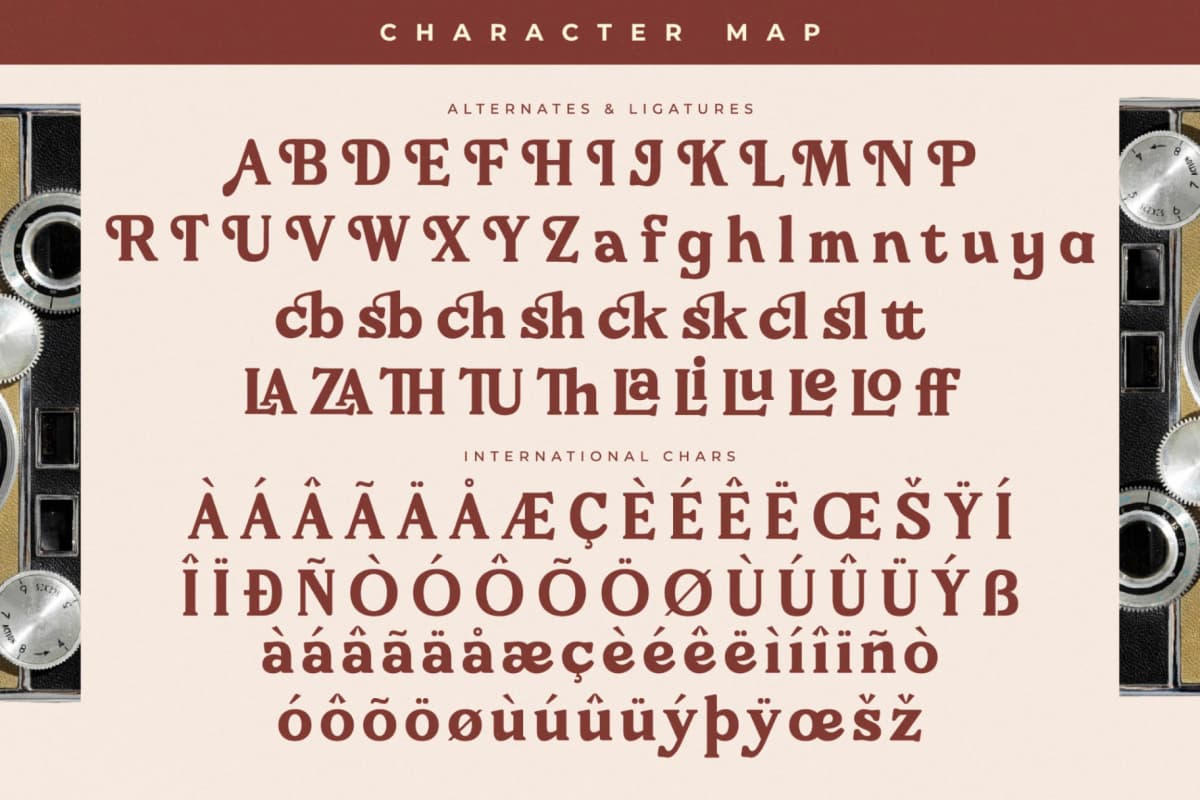 Preview 14 for Bricks Antique - Modern Vintage Serif