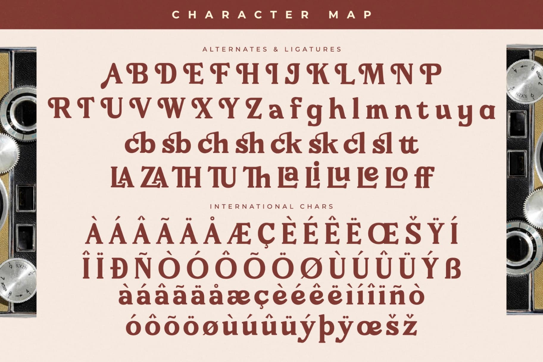 Preview 14 for Bricks Antique - Modern Vintage Serif