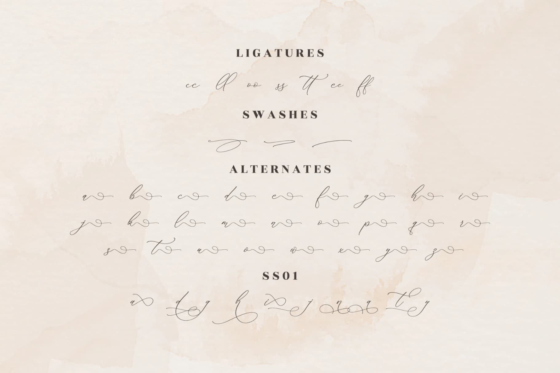 Preview 14 for Medusa - Luxury Script Font