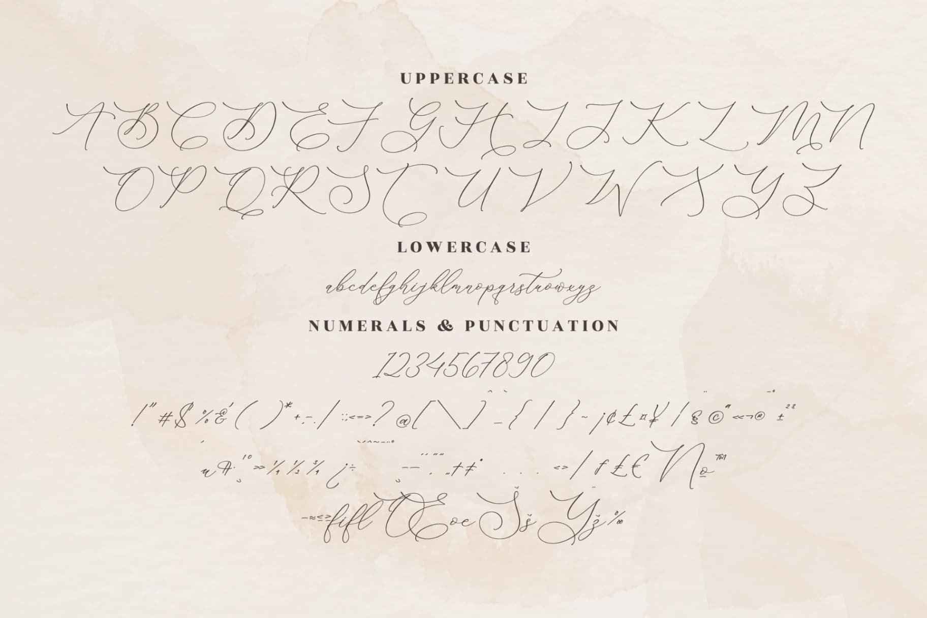 Preview 13 for Medusa - Luxury Script Font