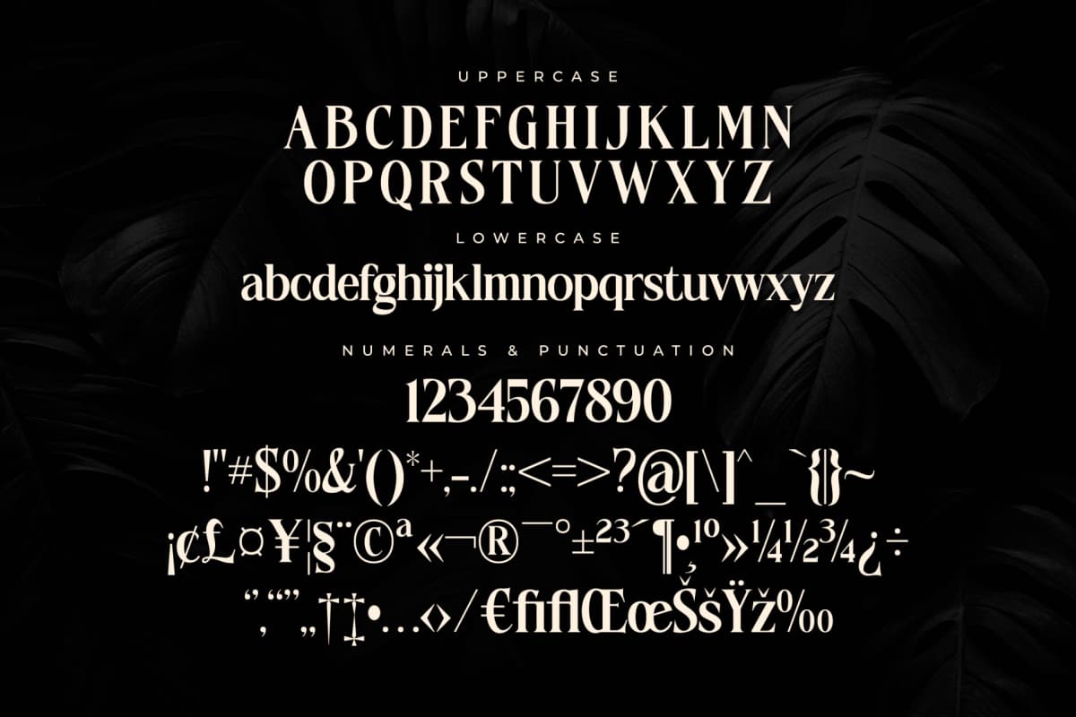 Preview 12 for Fantasy Magist - Elegant Serif Font