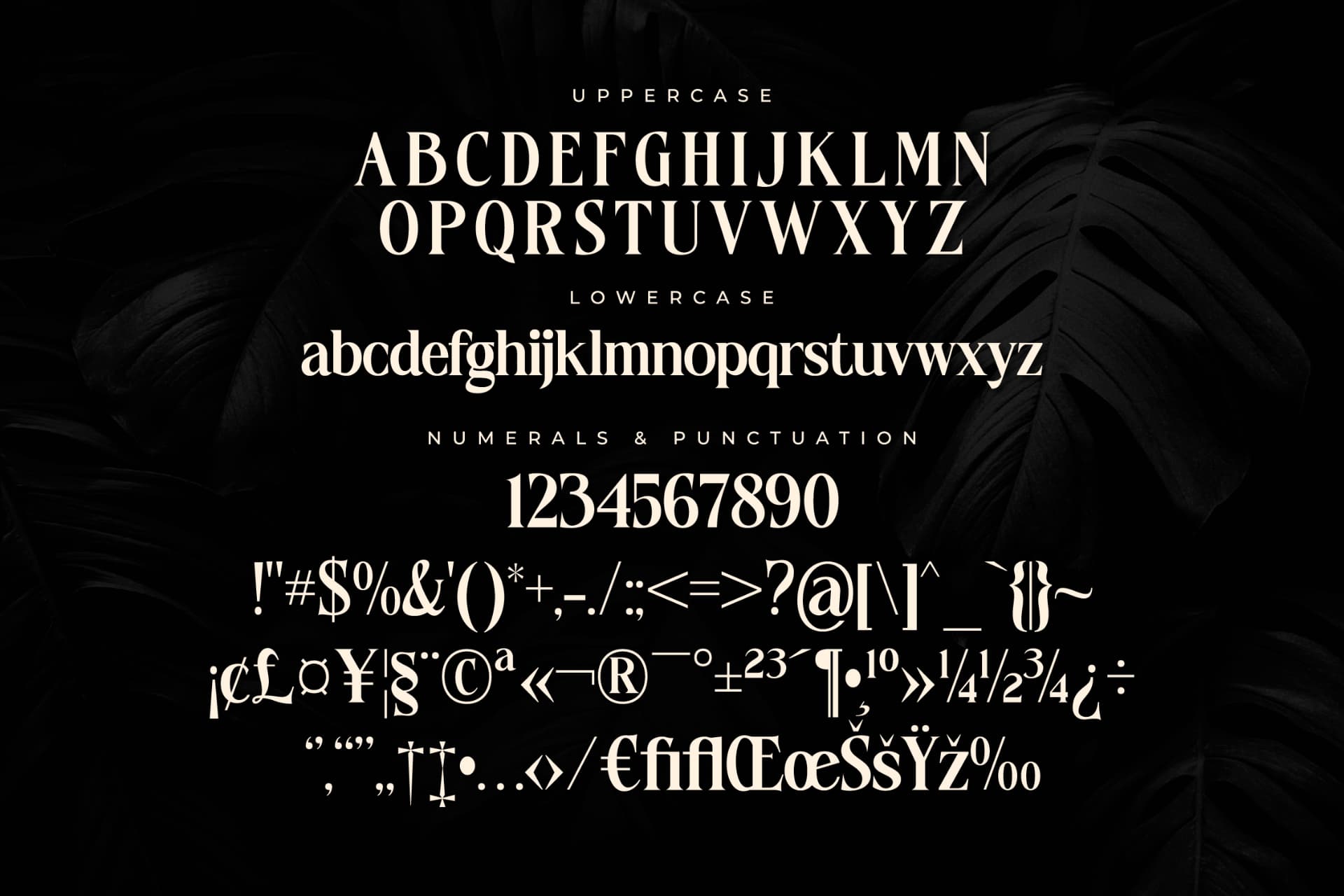 Preview 12 for Fantasy Magist - Elegant Serif Font