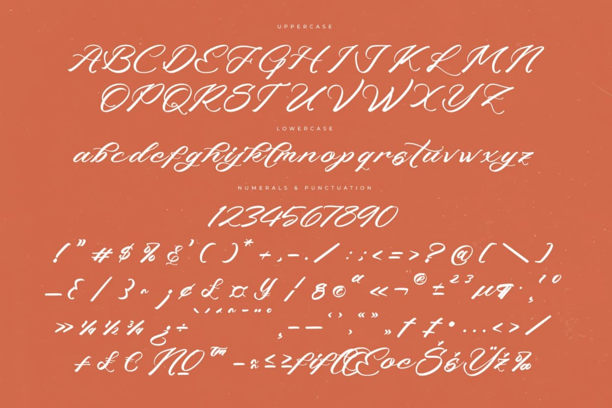 Preview 13 for Machine Vintage – Modern Stylish Script