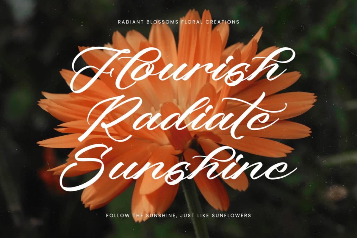 Preview 12 for Machine Vintage – Modern Stylish Script