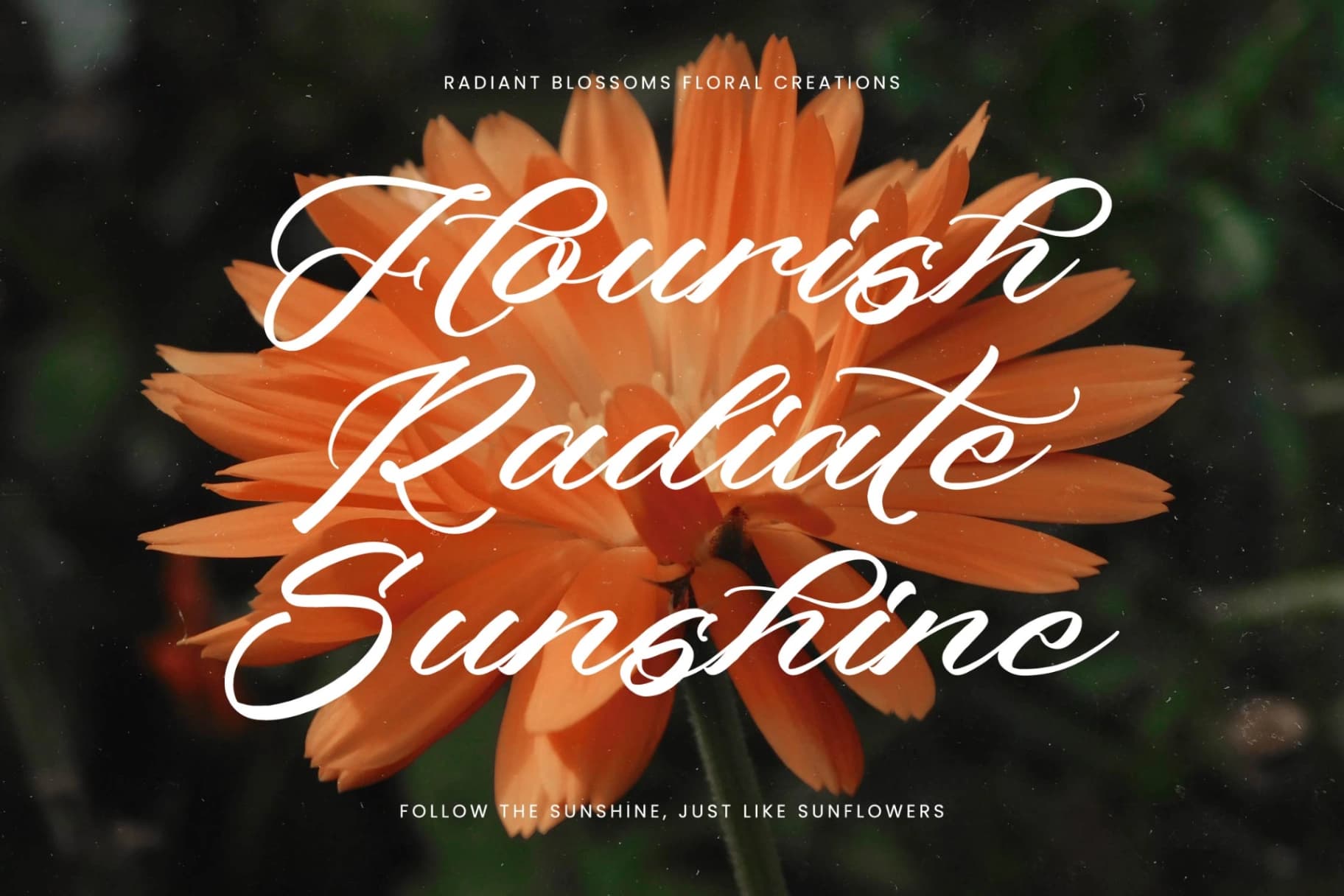 Preview 12 for Machine Vintage – Modern Stylish Script