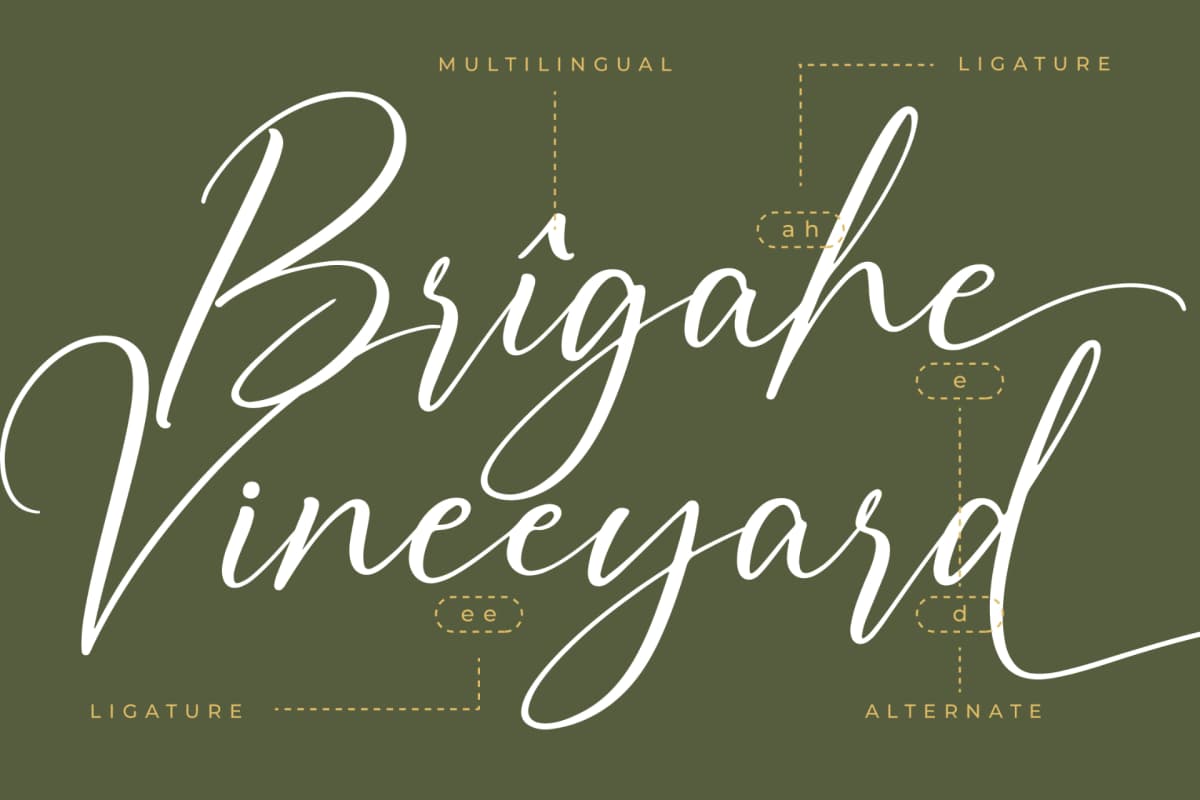 Auronifal Meribant – Modern Signature Font font preview 12