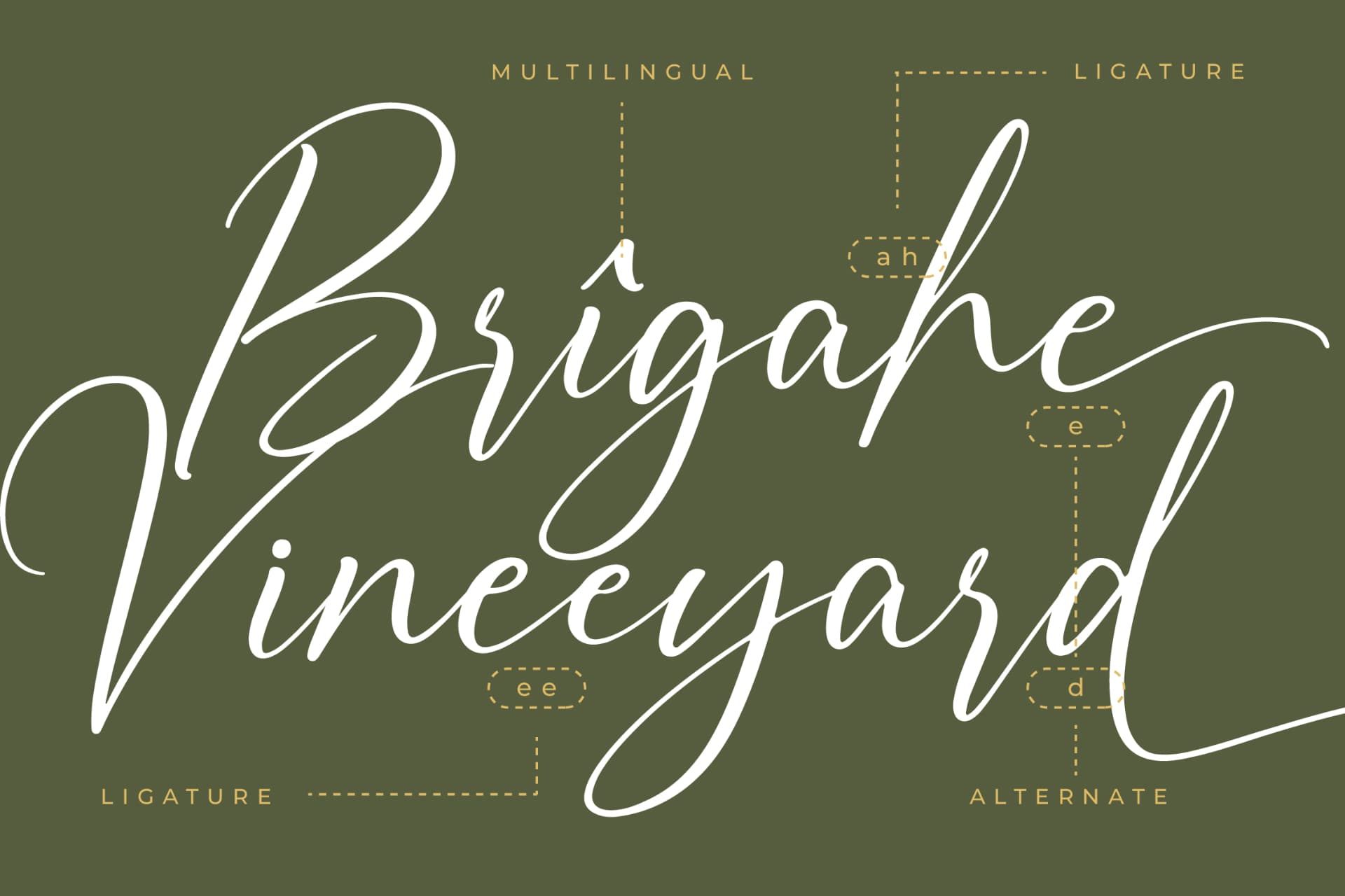 Preview 12 for Auronifal Meribant – Modern Signature Font