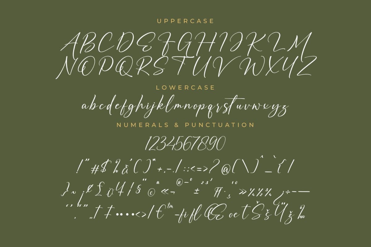 Auronifal Meribant – Modern Signature Font font preview 13