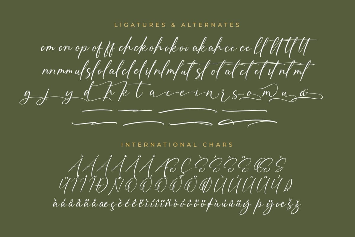 Auronifal Meribant – Modern Signature Font font preview 14