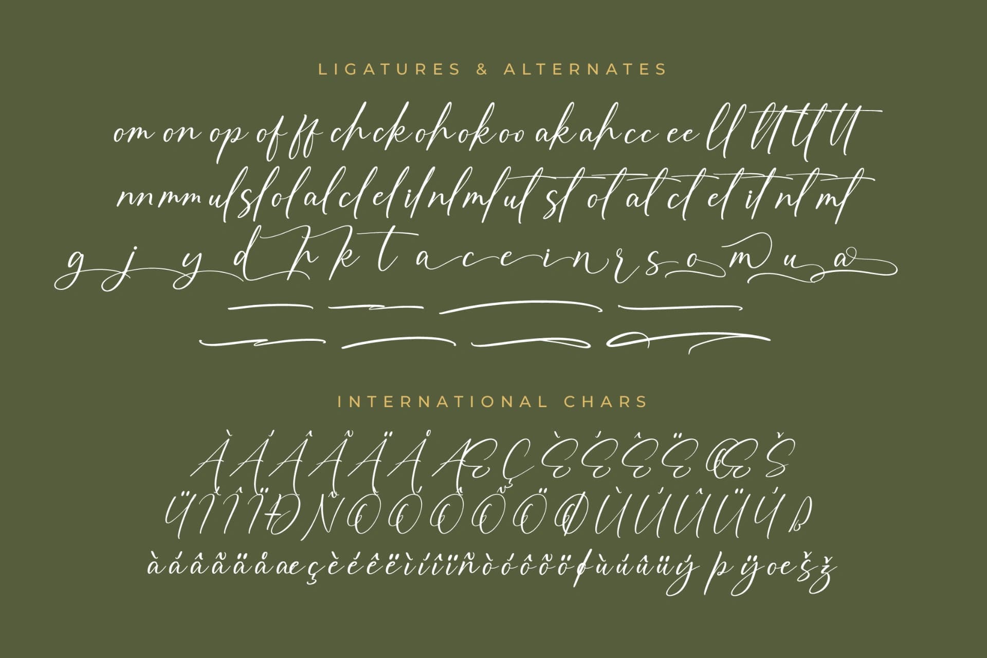 Preview 14 for Auronifal Meribant – Modern Signature Font
