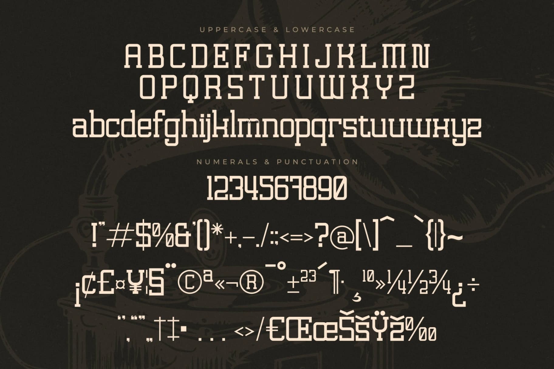 Preview 13 for Lastime Echoes - Display Slab Serif