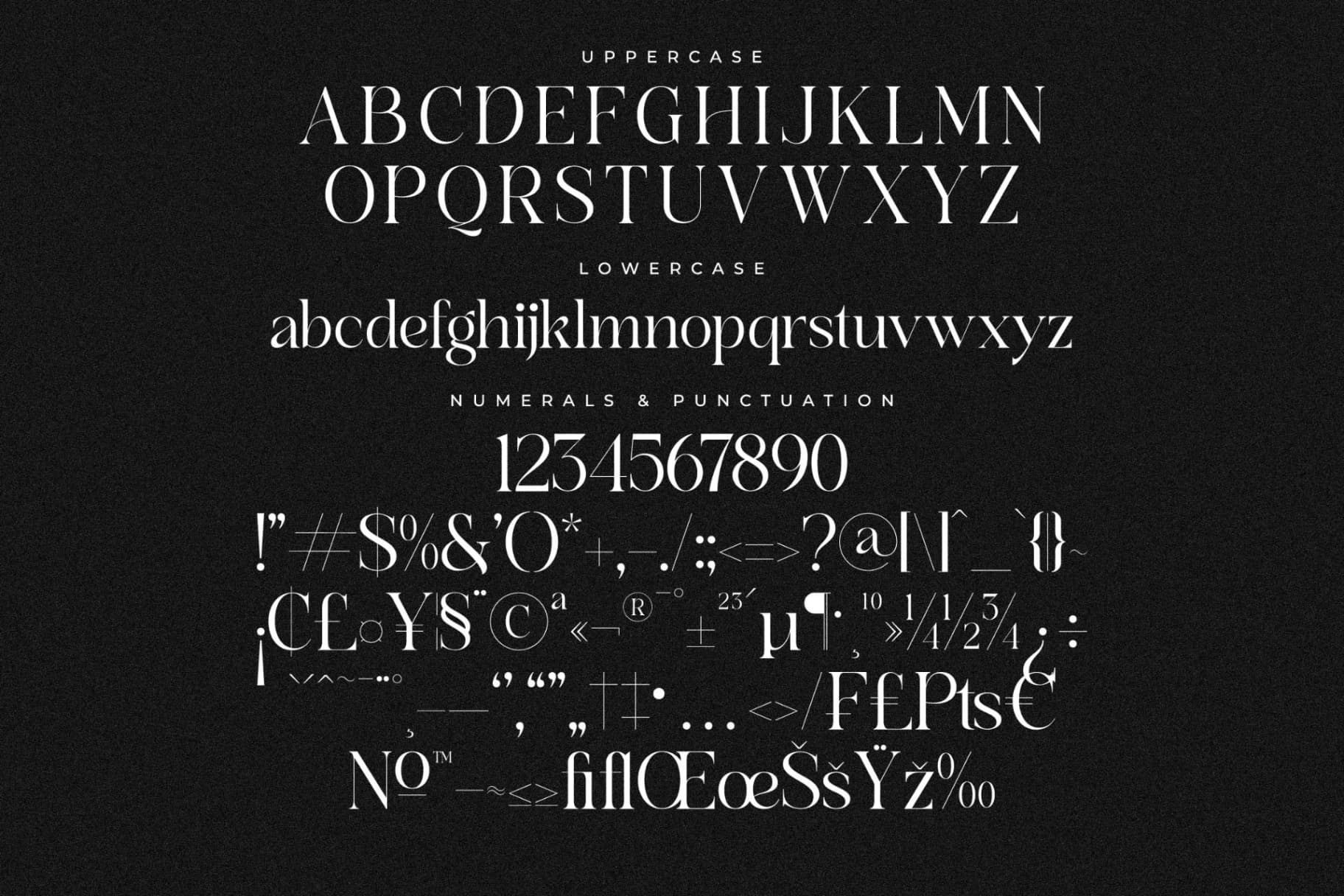Preview 13 for Branden Raulner - Elegant Serif Font