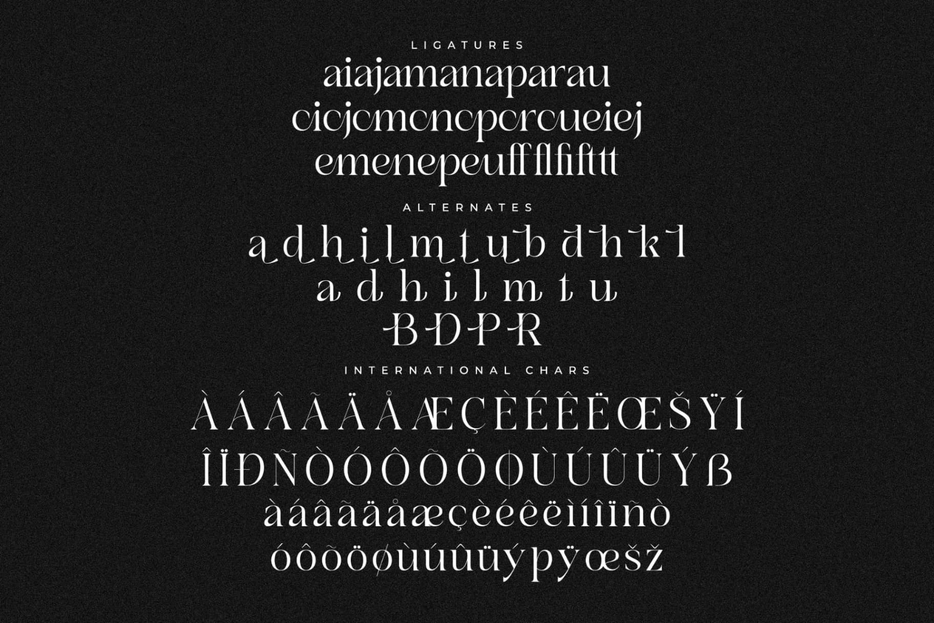 Preview 14 for Branden Raulner - Elegant Serif Font