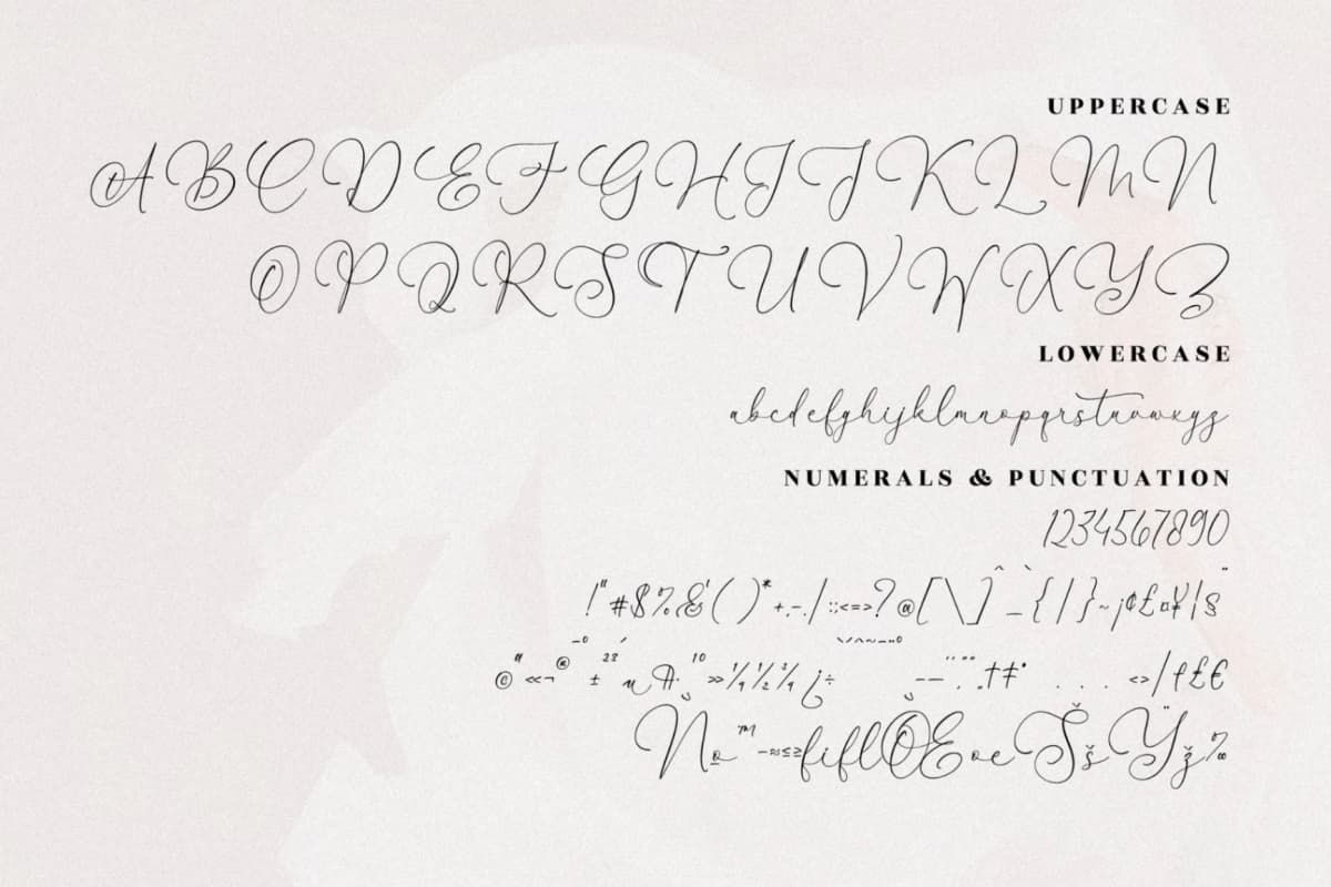 Waltson Beauty - Luxury Script Font font preview 13