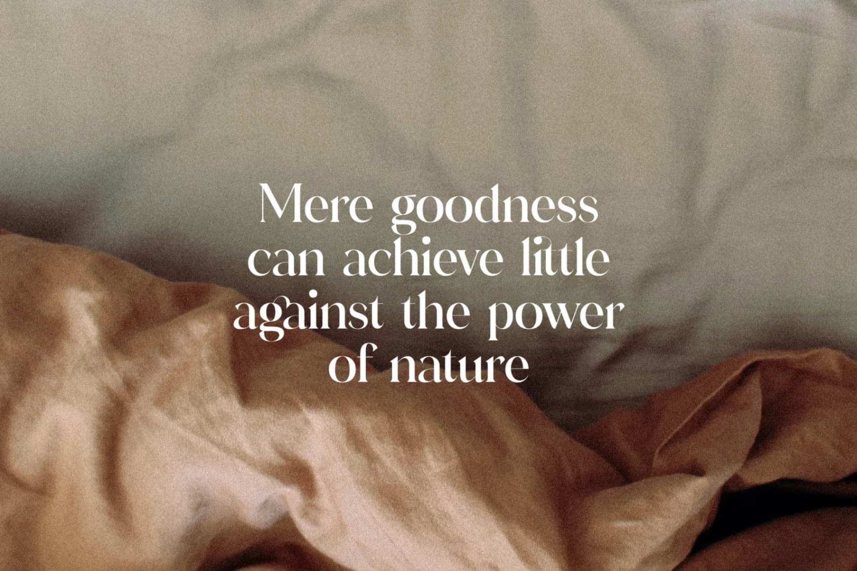 Preview 6 for Adorage - Modern Ligature Typeface