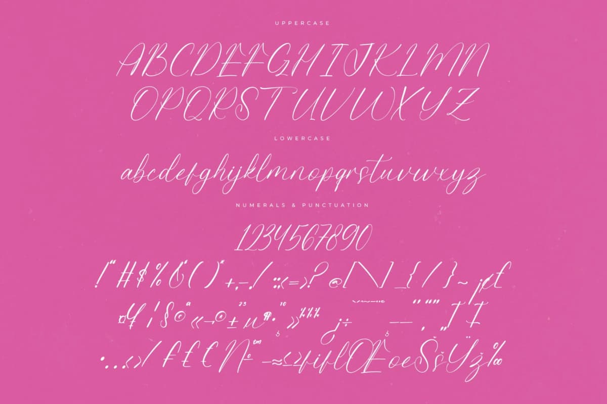 Petalip Orchid – Modern Freestyle Stylish font preview 13