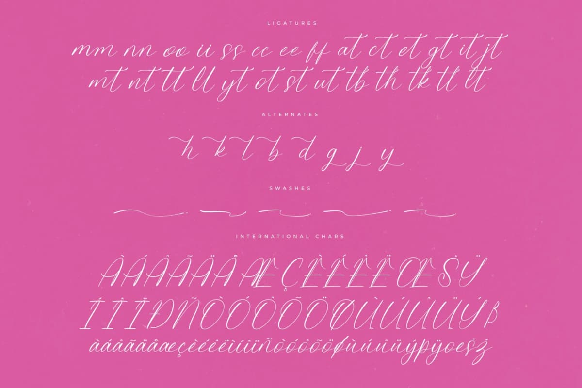 Petalip Orchid – Modern Freestyle Stylish font preview 14
