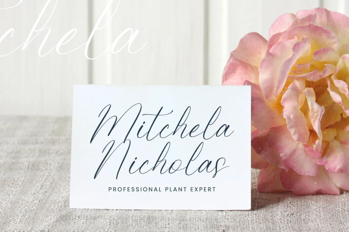 Petalip Orchid – Modern Freestyle Stylish font preview 4