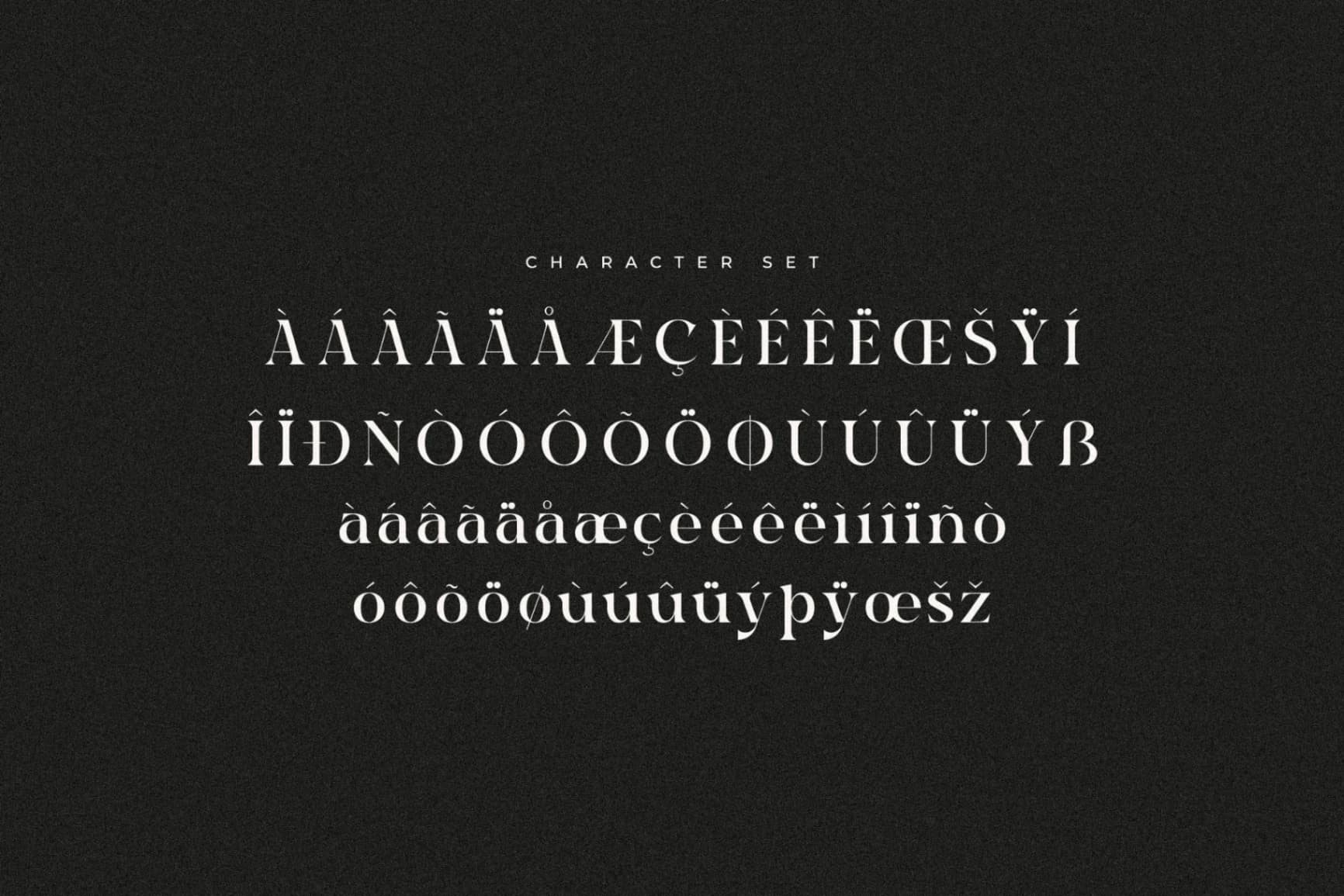 Preview 14 for Raglika - Modern Serif Font