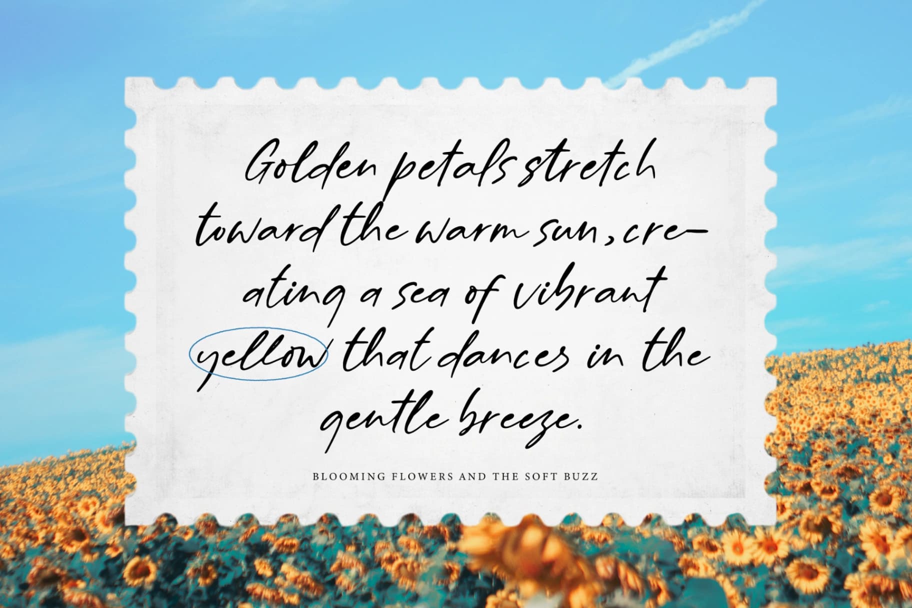 Preview 2 for Billion Champagne Scattered – Sticky Notes Font