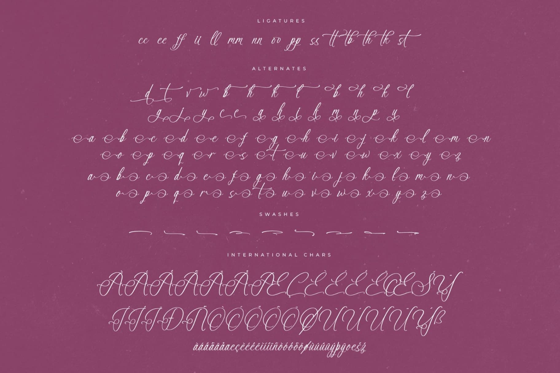 Preview 14 for Anastasia Boutiques – Beauty Calligraphy Script