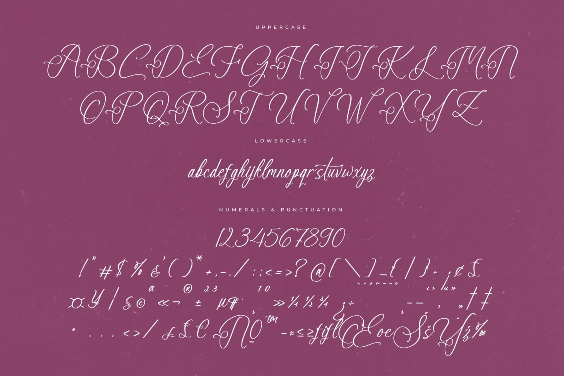 Preview 13 for Anastasia Boutiques – Beauty Calligraphy Script