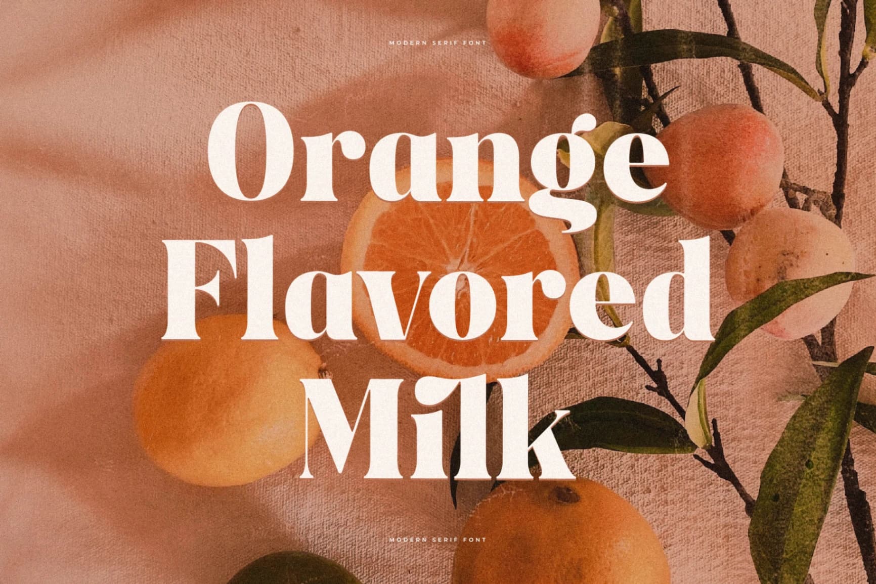 Preview 7 for Ragitta - Modern Serif Font